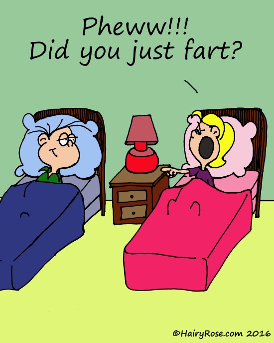 did-you-fart